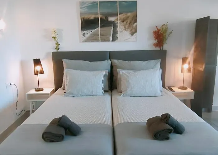 Occidental Banus דירה מארבלה