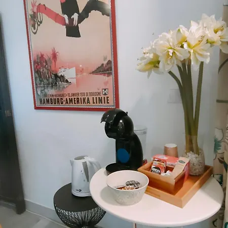 Occidental Banus Apartment